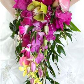 fwthumb1 (20).jpg